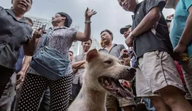 TheShy赛事官方发布势不可挡新规，掘金争议不断！